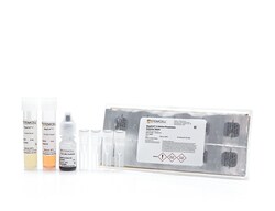 STEMCELL Technologies MegaCult -C Staining Kit for CFU-Mk, Size: 1 Kit,