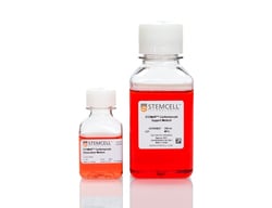 STEMCELL Technologies STEMdiff Cardiomyocyte Dissociation Kit 1 sæt | Buy Online | STEMCELL Technologies | Fisher Scientific