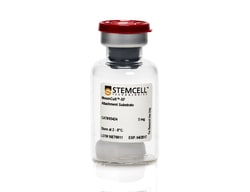 STEMCELL Technologies MesenCult -SF Attachment Substrate 5 mg | Buy Online | STEMCELL Technologies | Fisher Scientific
