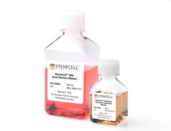 STEMCELL Technologies&nbsp;MesenCult&trade; Osteogenic Stimulatory Kit (Mouse), Size: 250 mL