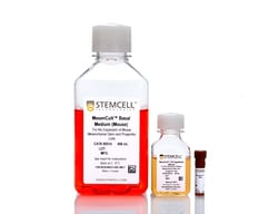 STEMCELL Technologies MesenCult Expansion Kit (Mouse) 1 Kit | Buy Online | STEMCELL Technologies | Fisher Scientific