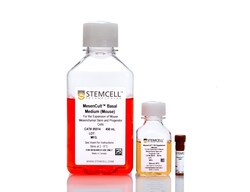 STEMCELL Technologies MesenCult Expansion Kit (Mouse), Size: 1 Kit, Quantity:
