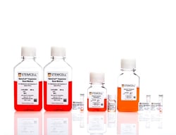 STEMCELL Technologies NaïveCult Induction Kit for the generation of reset hPSCs 1 Kit | Buy Online | STEMCELL Technologies | Fisher Scientific