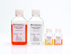 STEMCELL Technologies NeuroCult Enzymatic Dissociation Kit for Adult CNS Tissue (Mouse and Rat) 1 sats | Buy Online | STEMCELL Technologies | Fisher Scientific