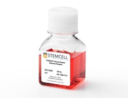 STEMCELL Technologies STEMdiff™ Neural Rosette Selection Reagent, Size: 100 mL