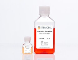 STEMCELL Technologies TeSR -E6, Size: 1 Kit, Quantity: Each of 1