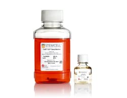 STEMCELL Technologies TeSR -E8 Kit for hESC/hiPSC Maintenance, Size: 1