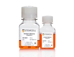 STEMCELL Technologies IntestiCult Organoid Growth Medium (Human), Quantity:
