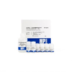 MP Biomedical Gastrin Double Antibody RIA Kit 1 x 100 Tubes | Buy Online | MP Biomedical&trade; | Fisher Scientific