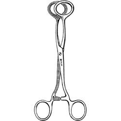 Sklar Instruments&nbsp;Forceps Sklar Microscopy Surgical   1/EA
