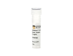 STEMCELL Technologies CellAdhere Vitronectin, Human, Solution 0.2 mL | Buy Online | STEMCELL Technologies | Fisher Scientific