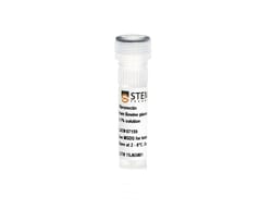 STEMCELL Technologies Fibronectin 1 mg | Buy Online | STEMCELL Technologies | Fisher Scientific
