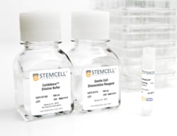 STEMCELL Technologies Vitronectin XF , Size: 2 mL, Quantity: Each of 1
