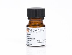 STEMCELL Technologies Elastase, Size: 25 mg, Quantity: Each of 1
