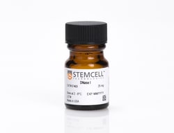 STEMCELL Technologies DNase I, Size: 25 mg, Quantity: Each of 1