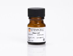 STEMCELL Technologies DNase I, ACF, Size: 25000 U, Quantity: Each of 1