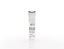 STEMCELL Technologies DNase I Solution (1 mg/mL), Size: 1 mL, Quantity: