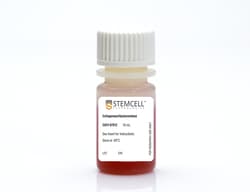 STEMCELL Technologies Collagenase/Hyaluronidase 10 mL | Buy Online | STEMCELL Technologies | Fisher Scientific