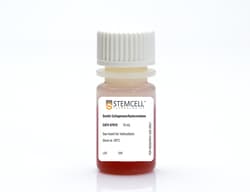 STEMCELL Technologies&nbsp;Gentle Collagenase/Hyaluronidase