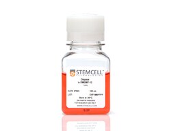 STEMCELL Technologies Dispase (1 U/mL), Size: 100 mL, Quantity: Each of