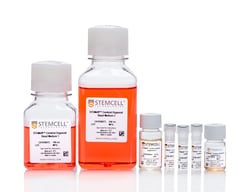 STEMCELL Technologies STEMdiff Cerebral Organoid Kit, Quantity: Each of