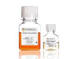 STEMCELL Technologies STEMdiff Forebrain Neuron Maturation Kit 1 Kit:Medios,