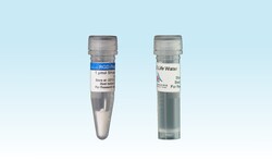 ILEX LIFE SCIENCES LLC Cellendes 3-D Life RGD Peptide, Hydrogel Cell Adhesion