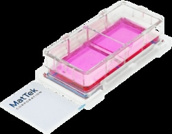 MatTek Corporation (Case of 12) Chambered Cell Culture Slides, 2-well,