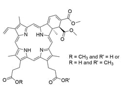 STEMCELL Technologies Verteporfin 1 mg | Buy Online | STEMCELL Technologies | Fisher Scientific