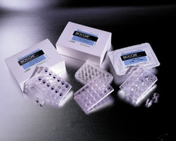 Falcon™ BioCoat™ collagen IV inserts with1.0μm PET membrane in two 24-well plates
