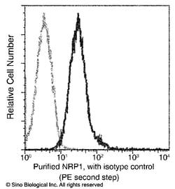 Sino Biological Neuropilin-1 / NRP1 / CD304 Antibody (APC), Mouse MAb 25Tests,
