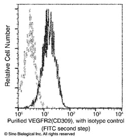 Sino Biological Anti-VEGFR2/KDR Antibody (PE), Mouse Monoclonal, Quantity: