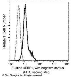 Sino Biological Anti-4EBP1 Antibody (PE), Mouse Monoclonal, Quantity: Each