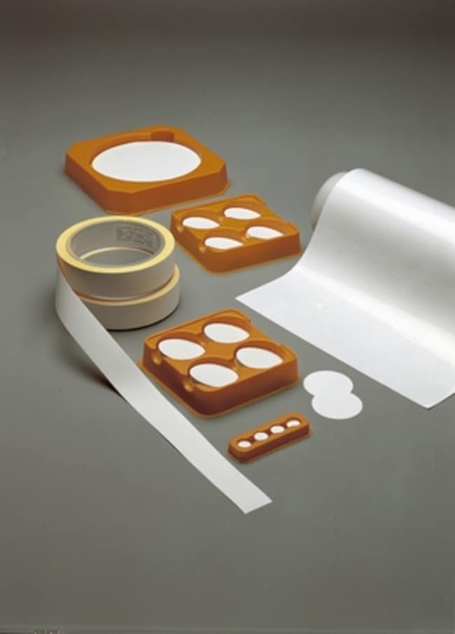 Filtration Membrane Cellulose at William Kempf blog