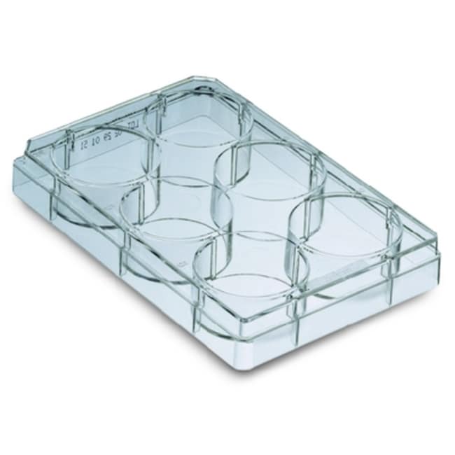 Greiner BioOne™ Placa multipocillo para cultivo celular de