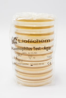 Liofilchem&trade;&nbsp;Haemophilus Test Agar