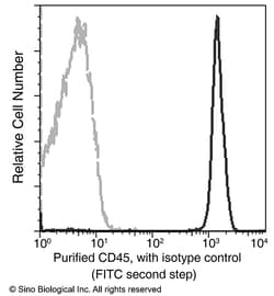 Sino Biological CD45 / PTPRC Antibody, Mouse MAb 100uL, Quantity: Each