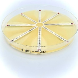 Liofilchem Mueller Hinton II Agar 10 Plates | Buy Online | Liofilchem&trade; | Fisher Scientific
