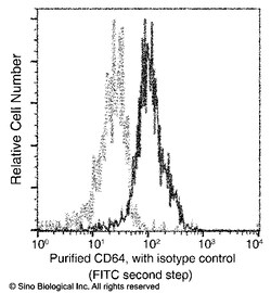 Sino Biological Recombinant Anti-CD64/FCGR1 Antibody (FITC), Rabbit Monoclonal,
