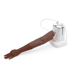 3B Scientific&nbsp;IV Training Arm Dark Skin