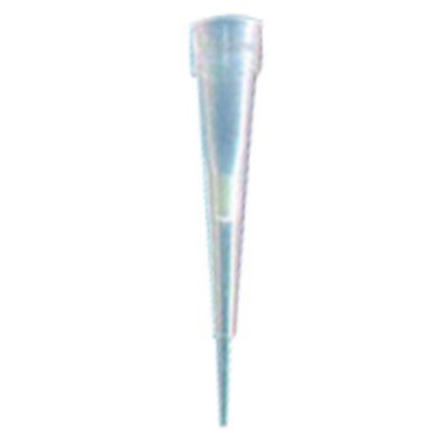 Greiner Bio One™ International Filter Tip Capacity 10μL Filtered