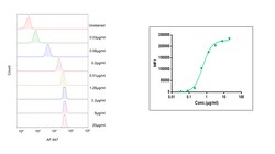 Sino Biological&nbsp;Recombinant Human ICAM-1/CD54 Protein (Site-Specific AF 647 Conjugation, His Tag) 100 µg