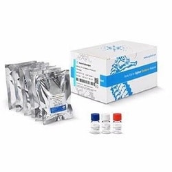 Agilent Technologies™ XFp T Cell Metabolic Profiling Kit