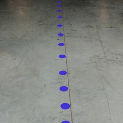 Brady ToughStripe Max Floor Dots Blue | Buy Online | Brady&trade; | Fisher Scientific
