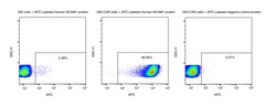 Sino Biological&nbsp;Recombinant Human NCAM-1/CD56 Protein (Site-Specific APC Conjugation, His Tag) 25 Tests