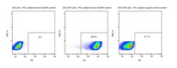 Sino Biological&nbsp;Recombinant Human NCAM-1/CD56 Protein (Site-Specific PE Conjugation, His Tag) 100 Tests