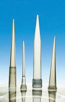 Witeg Polypropylene Pipette Tips 1000 to 5000 &mu;L | Buy Online | Witeg&trade; | Fisher Scientific