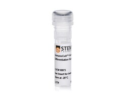 STEMCELL Technologies ImmunoCult Human Th1 Differentiation Supplement 1 ml | Buy Online | STEMCELL Technologies | Fisher Scientific