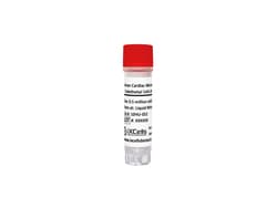 iXCells Biotechnologies&nbsp;Human Cardiac Microvascular En