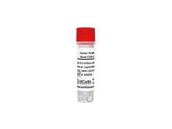 iXCells Biotechnologies&nbsp;Human Peripheral Blood CD34 Ce